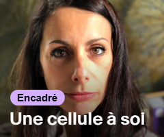 Virginie Barreteau