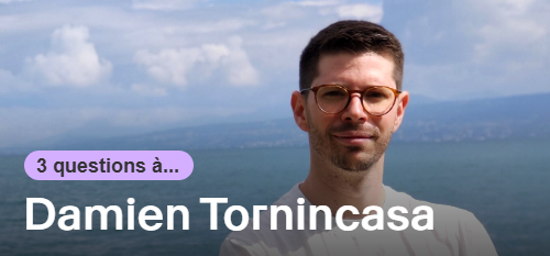 Damien Tornincasa