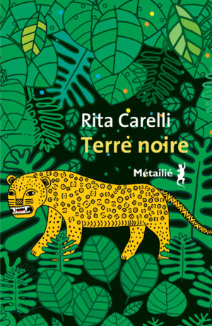 Couverture de Terre noire